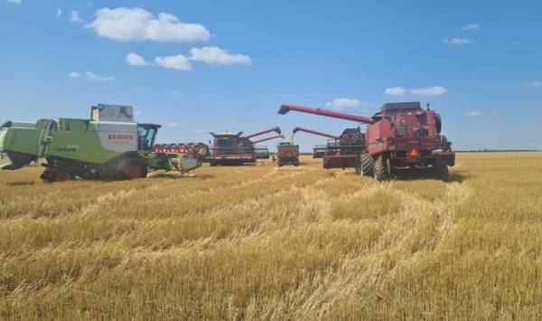 Dnipro Agro Group завершила жнива: озвучено показники врожайності