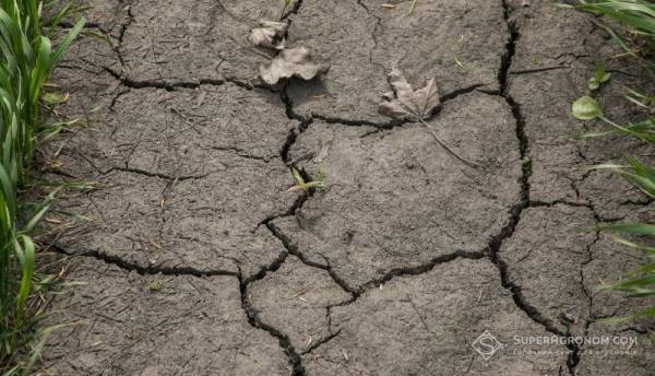 Водна криза на півдні та сході України: наслідки глобального потепління