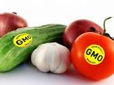 Україна посилює контроль за ГМО-продукцією: прийнято новий закон