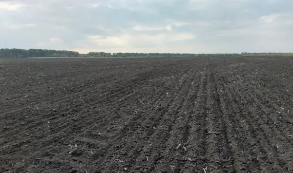 Черкащина впроваджує новітні агротехнології для родючості ґрунтів
