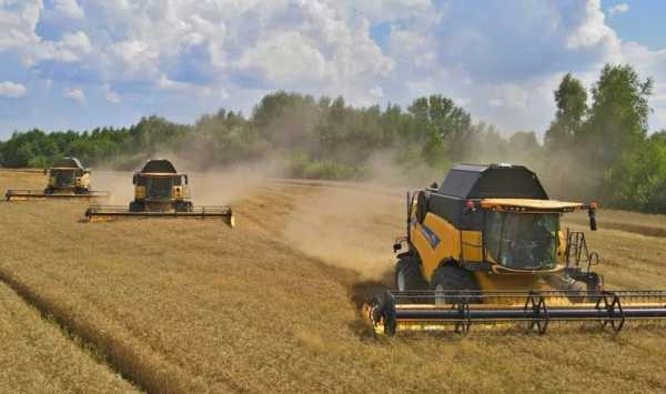 Прогноз погоди в Україні: у денний час очікується значна спека до +38°С