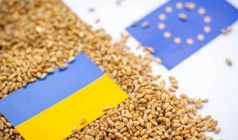 Агроторгівля України з ЄС сягнула $8,5 млрд, зростаючи на 11%