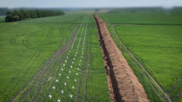 Компенсації аграріям за втрачений урожай на землях для фортифікацій: Рада ухвалила рішення