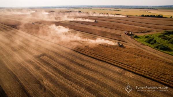 Агрохолдинги завершили збір ранніх зернових
