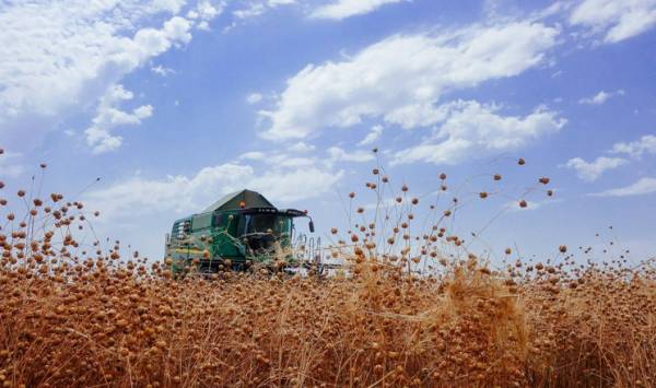 Tekom Agro Group розпочала збір льону