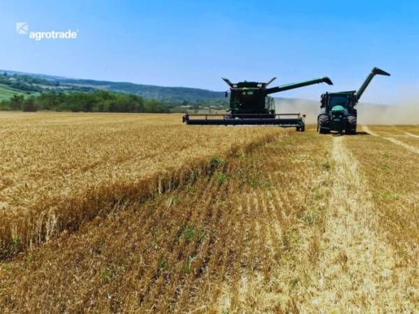 Українські аграрії зібрали 30,8 мільйона тонн зерна