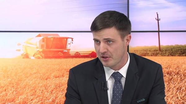 Мінагрополітики: удари РФ по складах не загрожують продовольчій безпеці України