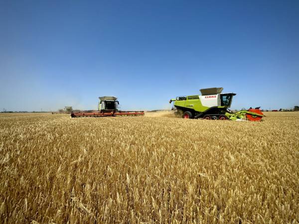 Українські аграрії майже зібрали врожай ранніх зернових