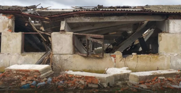 Російські обстріли на Чернігівщині знищили 20 тисяч птиці та 50 свиней