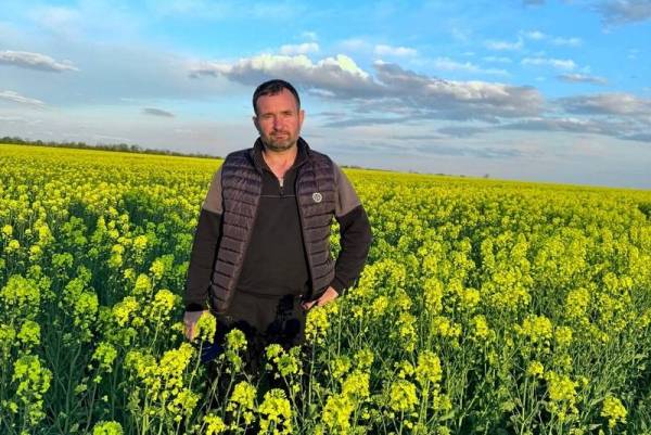 Змінили технологію вирощування ріпаку на Миколаївщині через посуху