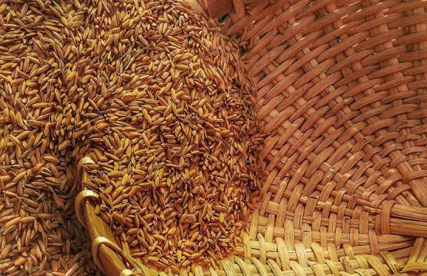 Російські атаки на порти України: вигоду здобуде зерно РФ