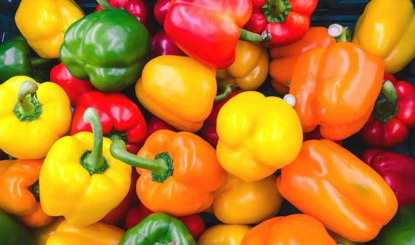 Європейські теплиці насичують ринок овочами: рекордний ріст виробництва