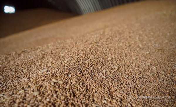 Сільгоспвиробники закликають відстрочити впровадження нових тарифів Укрзалізниці: постачання зерна може стати невигідним