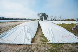 Фермерам України роздадуть 10 тисяч рукавів для збору врожаю
