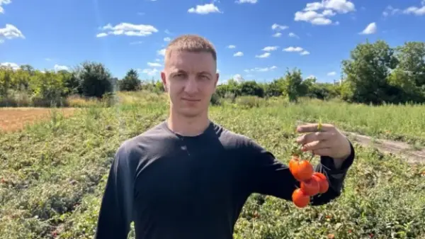 Фермер із Хмельниччини розкриває секрети вирощування томатів