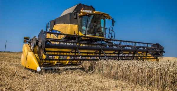 Аграріям хочуть запропонувати доступні позики під заставу зібраного врожаю.