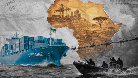Зростання експорту української агропродукції на 11%: ЄС, Азія та Африка — головні споживачі — Національний науковий центр “Інститут аграрної економіки”