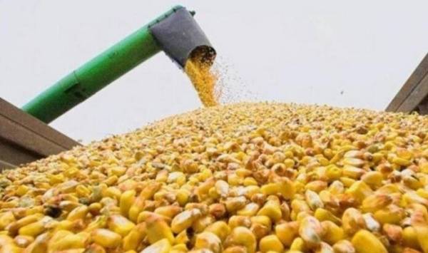Блокада портів: FAS USDA різко обвалила прогноз експорту української кукурудзи