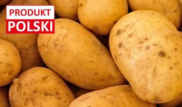 У Польщі прогнозують значне зниження врожайності фруктів і овочів