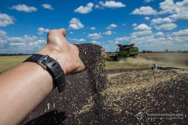 Жнива-2026: Кіровоградщина зібрала рекордний урожай ранніх зернових