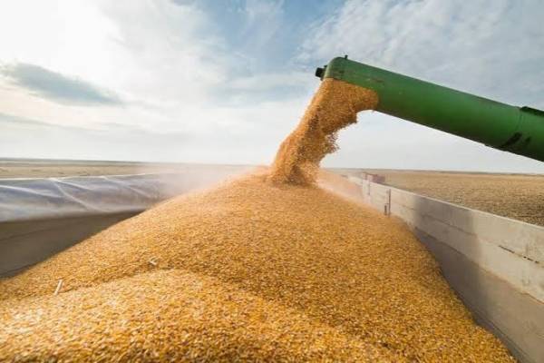 Росія тисне на світові ринки: хто витісняє українське зерно