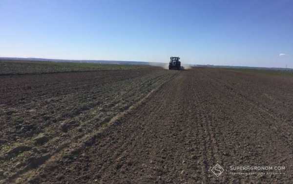 Безплужна обробка ґрунту та оранка можуть взаємно доповнювати один одного — думка польського аграрія