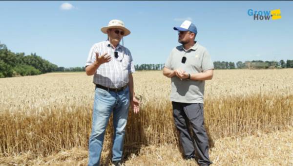 Зберігати чи продавати: аграрій розкрив стратегію реалізації пшениці