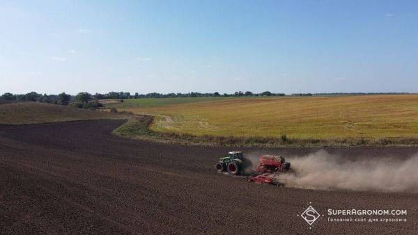 Внесення фосфорно-калійних добрив під озимину: рекомендації польських аграріїв