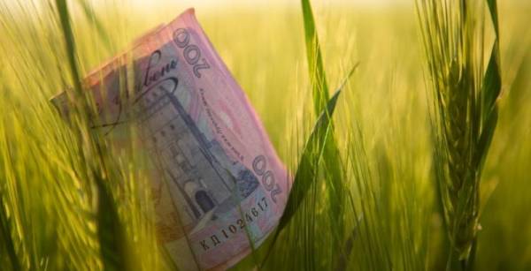 Уряд полегшив фермерам шлях до доступних кредитів на посівну