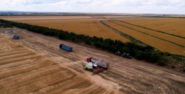 Регіони-лідери: від 5,5 до 8 тонн з гектара