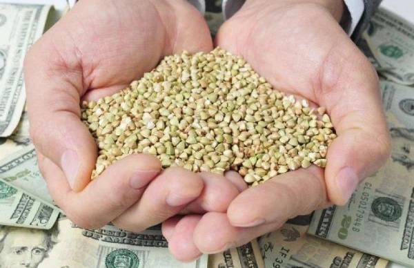 Агроекспорт став ключовим драйвером валютних надходжень України