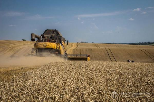 Зібрано 4,7 т/га пшениці на Харківщині, частина полів чекає на комбайн