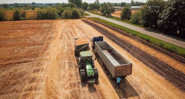 Cygnet Agrocompany: Підсумки жнив та плани на посівну 2027