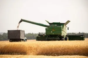 Зібрано понад 5,6 мільйона гектарів ранніх зернових