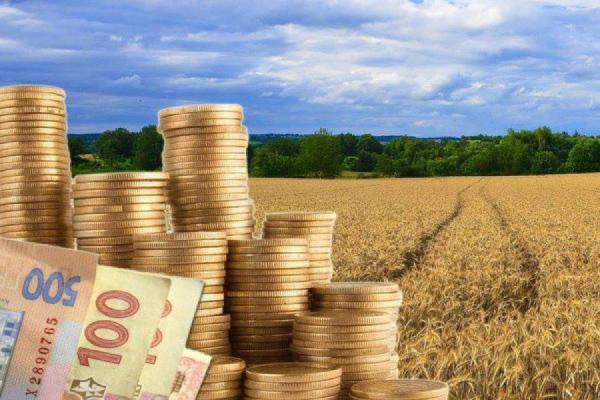 Аграрії отримають фінансову допомогу в очікуванні логістичних рішень
