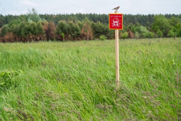 Компанії-змовники сплатять штраф за порушення конкуренції