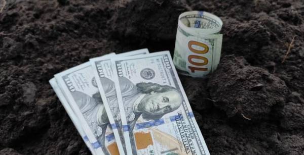 Нацбанк збільшив вартість зерна як застави до 75%