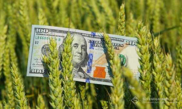 Стан посівів у регіонах, очікуваний урожай та потенційні логістичні ризики були озвучені аналітиками.