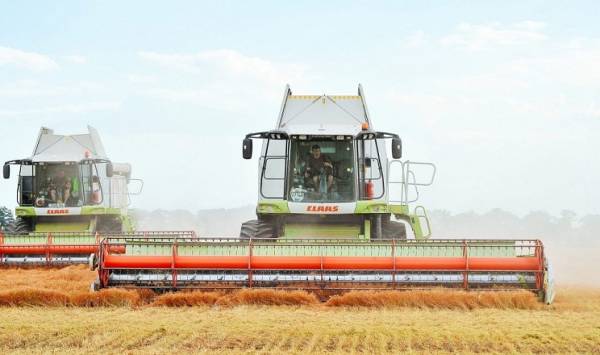 Tekom Agro Group зібрала врожай сочевиці
