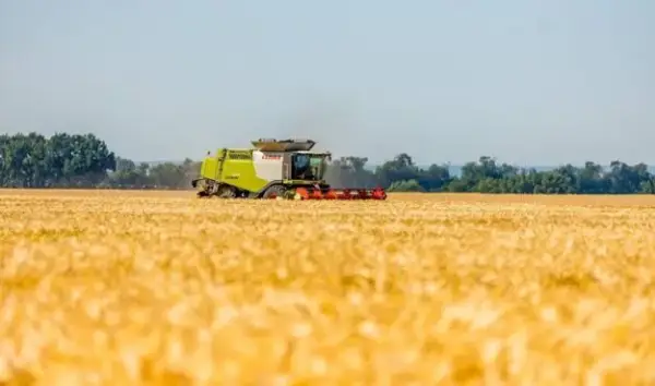 Спека та пожежна небезпека: прогноз погоди для України