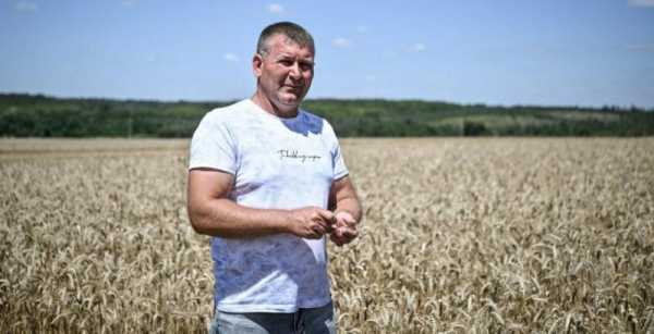 Через небезпеку обстрілів аграрії прикордонних областей не наважуються залишати врожай на зберіганні