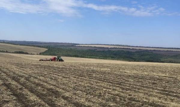 Tekom Agro Group розпочала сівбу озимого ріпаку