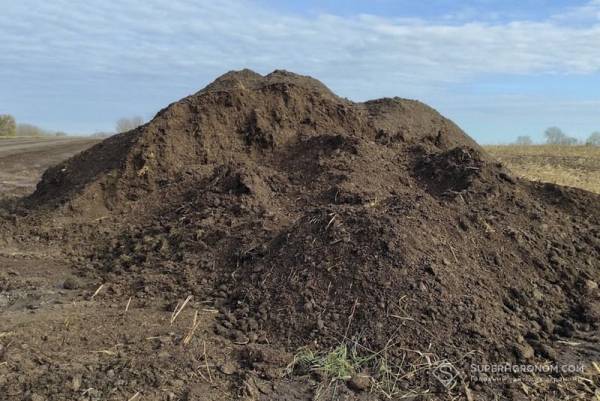 «Скіф» підвищує врожайність та зменшує витрати на добрива завдяки гною