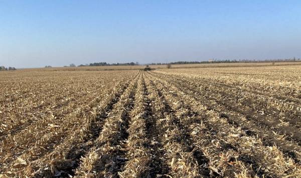 Біологізація агросектору: новий погляд на обробіток ґрунту