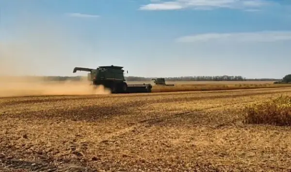 Зібрано мільйони тонн: аграрії Кіровоградщини підсумували врожай