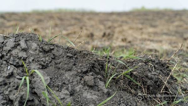 Агрохолдинг розмінував землі на Ізюмщині