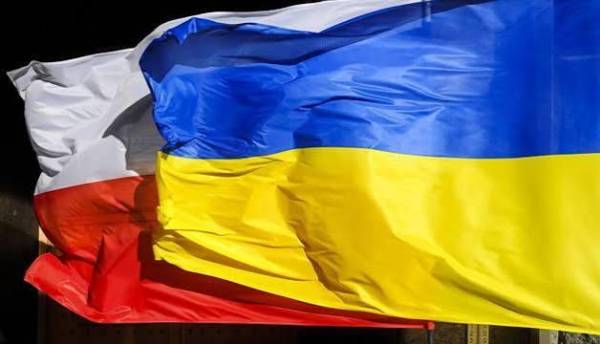 Посилення контролю за українським зерном: які зміни чекають на Польщу