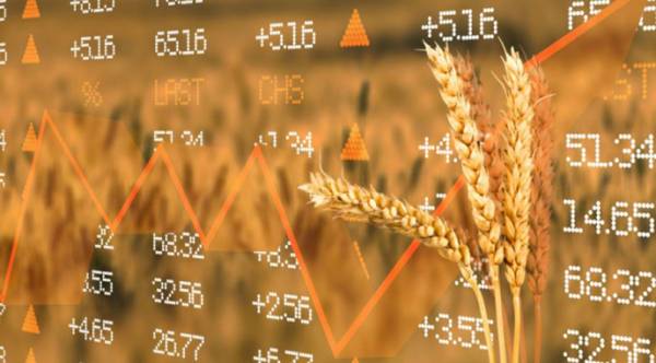 Аграрії назвали найприбутковіші культури 2026 року