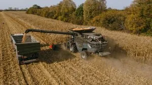 Аграрії України фіксують стабільні ціни на сою та високий урожай