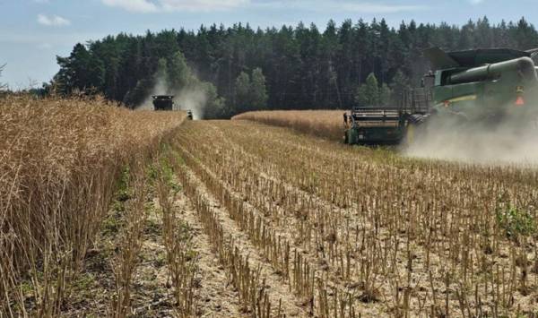 Без опадів, до +25°С: синоптики дали прогноз на сьогодні